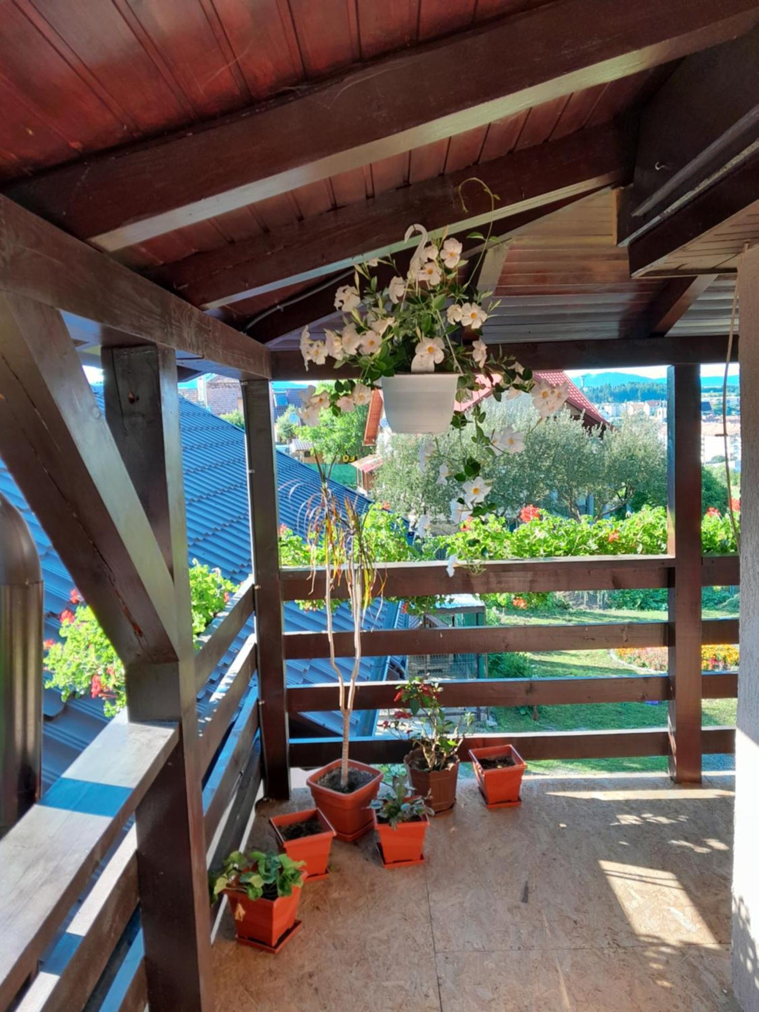 Casa Alex Hotel Toplita  Bagian luar foto